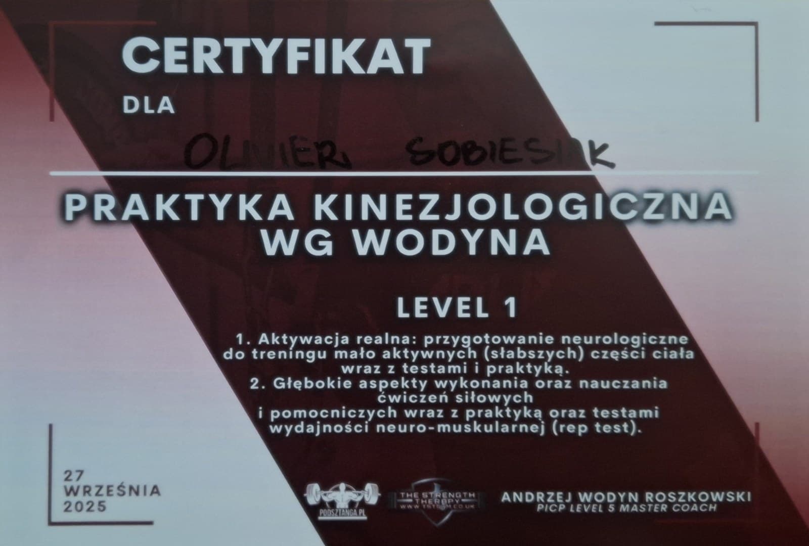 Praktyka kinezjologiczna wg Wodyna — Level 1