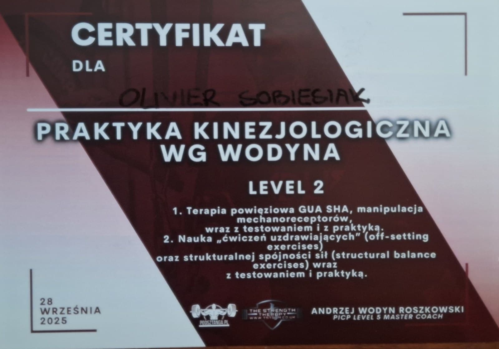 Praktyka kinezjologiczna wg Wodyna — Level 2